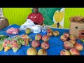 Farmer's market on St. Croix USVI #stx #usvi #garden