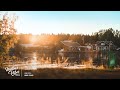 A Relaxing Autumn Playlist🍂- Amaranth Cove (Instrumental/Ambient/Guitar)