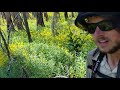 Bob Marshall Wilderness Complex | 2018 | WWT Ep 12: Backpacking Montana