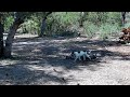 Discovering Hidden Water Sources in the Forest