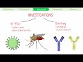 Chikungunya in 3 Minutes