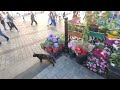 walking tour in Istanbul, Eminönü, yeni cami, grand bazaar,2024,june