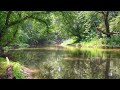 Calm and Peaceful Piano Music - Relaxation by the Lake