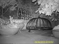 Hedgehog squeezing out of bird feeder!