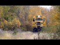 Locomotive Emerges from the Woods