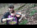 Fiddling in the Woods - Arkansas Traveler