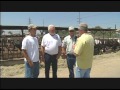 Visiting with Huell Howser - Chino Dairy Farms