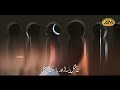 New Naat Sharif 2023 | Nabi Ji Piyare Nabi ji |Hasrat e Dedar e Nabi | Hafiz Jalabeeb Qadri | JSM
