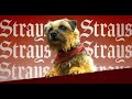 Strays (2023) - Trailer Song: 