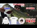 【シーバス釣り】初心者におすすめのビッグペンシル1つだけで釣りしてみたら