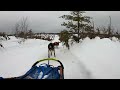 First sled run of the season - 1/3/2023