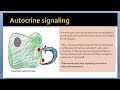 Cell Biology | Cell Signaling | Cellular signaling