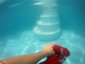 Awesome Underwater