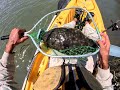 Murrells Inlet Whopper