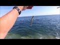 Bass Lure Fishing from the Rocks - Twitching Weedless Lures Worked