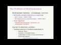 Responsible use of antimicrobials and effective treatment of canine pyoderma by Prof David Lloyd