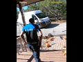 Delivery man snaps and destroys clients Halloween decoration