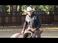 Ride Smart with Craig Cameron: Correctly Riding the Trot