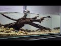 A Look Round my Mini AQUASCAPE Studio | VLOG