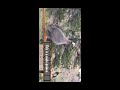Male guinea fowl sounds and calls