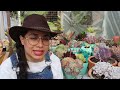 Limpiando la huerta, arreglando las plantas, recorriendo la finca │Candy Bu