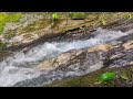 Relaxing Water Flowing Over Stones in the Mountains | White Noise Water Sounds for Sleep, Relaxation