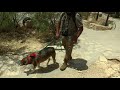 The Strange Ghost Town of Terlingua, Texas Documentary 4K