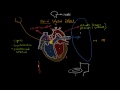 Atrial septal defect | Circulatory System and Disease | NCLEX-RN | Khan Academy