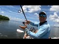 i didn't expect to catch this fish!! (Fishing Tampa Bay Florida)