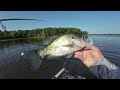 SUMMER CRAPPIE FISHING TIPS TO HELP YOU CATCH MORE CRAPPIE ALL SUMMER LONG‼️