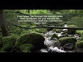 Holy Spirit Comfort Me| One hour of meditation | River waterfall and nature sounds for stress-free