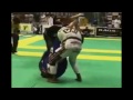 Brazilian Jiu Jitsu Highlights