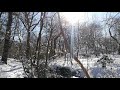 Winter morning - New York City - Central Park - Birds - Sunny creek
