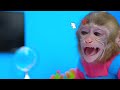 BiBi Monkey eat jelly fruit ice cream and naughty with ducklings in the swimming pool