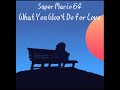What You Won't Do for Love but it's Super Mario 64