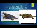 Age of Dinosaurs Calendar: November