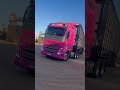 VOLVO ROBOCOOP ROSA NA CARRETA BOIADEIRA.