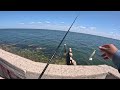 Fishing this Florida BRIDGE for Whatever BITES! (Tampa Bay Fishing)