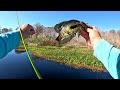 BLACK Crappie BONANZA on the Withlacoochee River