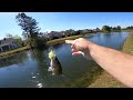 Fishing for GIANT Bass in SMALL Ponds (Bed Fishing)