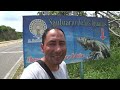 DESCUBRÍ este LUGAR OCULTO, SANTUARIO de LAS iguanas, Oaxaca.