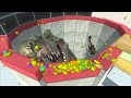 Epic Punch & T-Rex Head HOLE - Animal Revolt Battle Simulator
