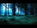 ASMR Nature Sounds | Sonido de grillos para dormir | 1h Creek sounds for sleep 😴😴