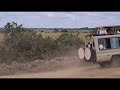 Wilding Out 4x4 Safari