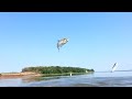 Illinois River Asian Carp Jumping Sullivan, IL