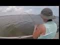 3 BIG Stingray Battles