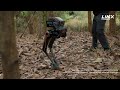 LimX Dynamics’ Biped Robot P1 Conquers the Wild Based on Reinforcement Learning