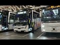 Navigating Victoria Coach Station – how to find your coach