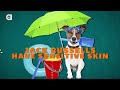 Jack Russell Terrier Facts