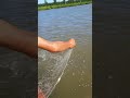 Unique Tools Fish Trap  Of Catching Lot Of Fish🐟🎣#shorts #viral #fishing